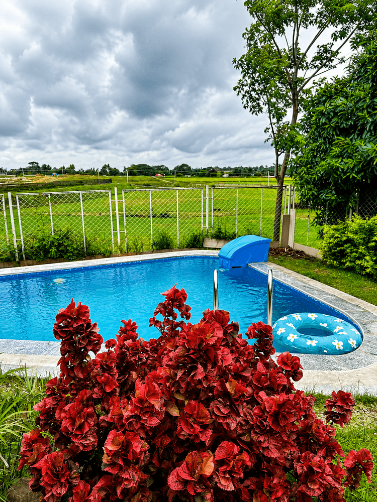 Private swimming pool and flowering garden at Gable Grove